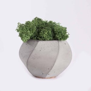 Accueil plant4 free img