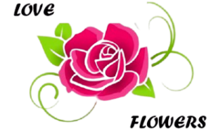 photo 1 logo removebg preview