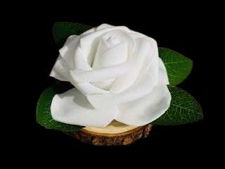 044 cadeau invité blanche