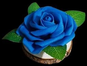 047 rose bleue