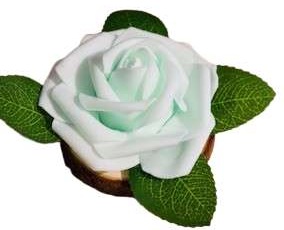 052 rose vert d eau